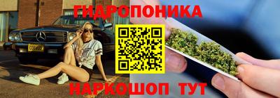 шишки Ливны