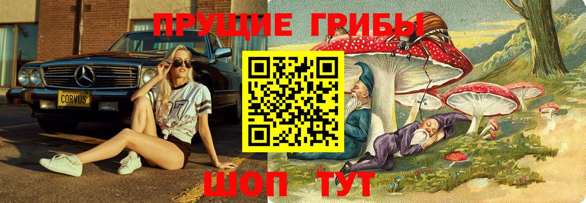 Галлюциногенные грибы ЛСД Добрянка