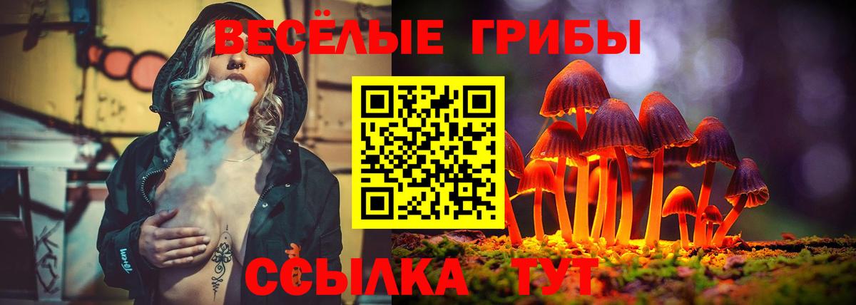 Добрянка  Псилоцибиновые грибы Psilocybe  Вход с VPN 